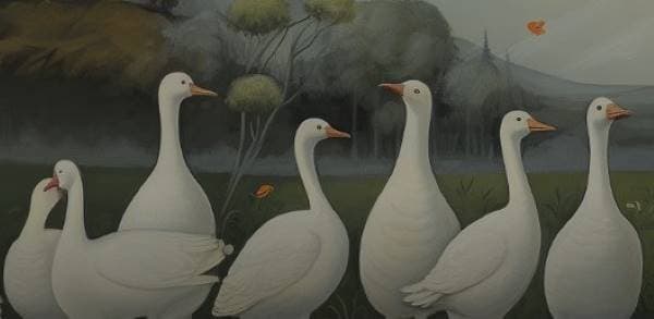 CO2 Emissions in Rwanda